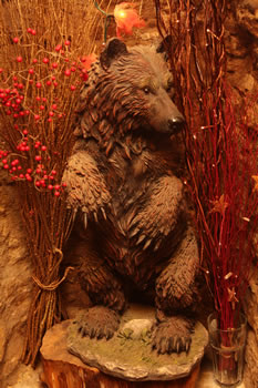 A Bear in The Bear Inn