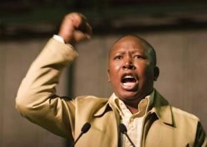Julias Malema (http://nicborain.wordpress.com) Julias Malema (http://nicborain.wordpress.com)