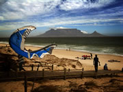 Three Weeks in Cape Town