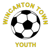 Wincanton Town Youth Football Club Open Day, 7th August 2010