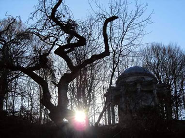 Tangled twigs make dramatic silhouettes. Most of us won't have room for this garden building though! Tangled twigs make dramatic silhouettes. Most of us won't have room for this garden building though!