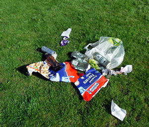 Rubbish heap left in the recreation ground