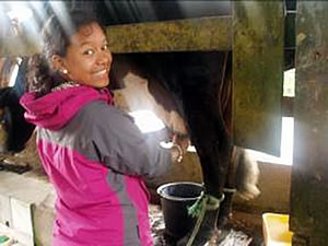 Cassandra, milking a rumenant in Ecuador