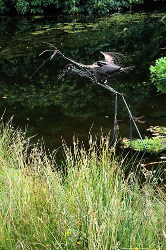 A heron? Landing or taking off...