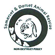 Hallowe'en Fun at Somerset and Dorset Animal Rescue