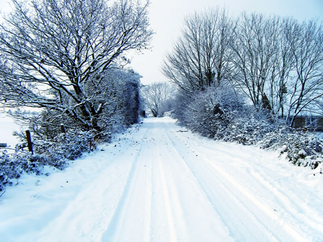 Snow in Templecombe by Deanne Gray