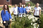 Green Growth at Wincanton Primary School