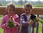 Children at Carymoor Environment Centre