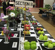 Wincanton and District Gardeners' Annual Show - Coming Soon