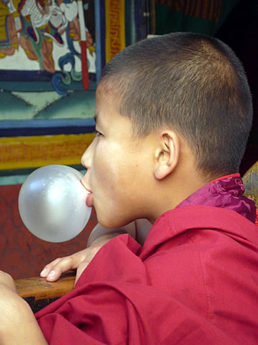 A monk blowing bubble-gum
