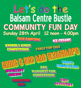 Join in the Balsam Bustle at its Community Fun Day