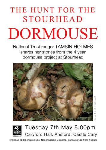The Hunt for the Stourhead Dormouse poster