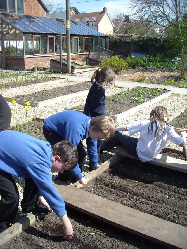 Wincanton Primary School pupils spend time at the Growing Space, Balsam Centre