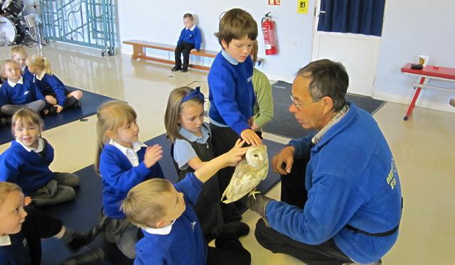 Mere Falconry visits Wincanton Primary School