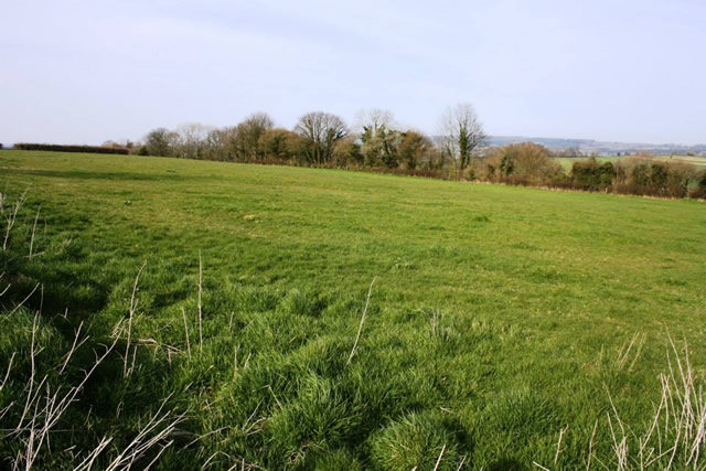 A field on the Windmil Farm site, Wincanton