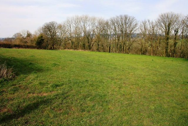 A field on the Windmil Farm site, Wincanton