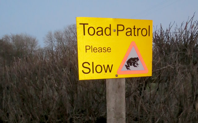Toad Patrol sign