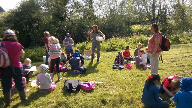Children from Horsington Primary School identifying species collected from the River Cale