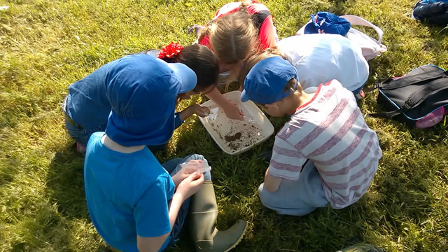 Searching for Mayfly eggs