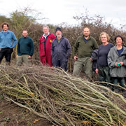 Free Green Skills Hedgelaying Course at Carymoor