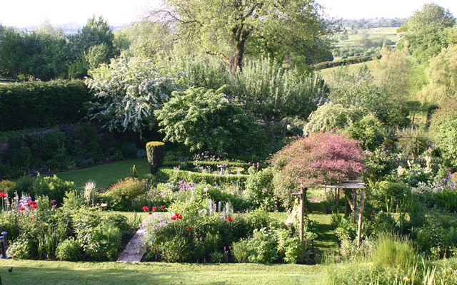Snape Cottage garden