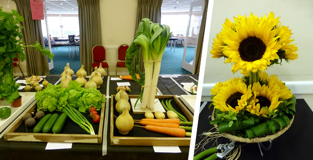 Vegetables and sunflowers at Wincanton Flower Show 2016