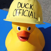 Wincanton Duck Race returns this year on Sunday 14th May