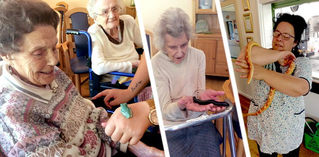 Carrington House residents handling creatures from ZooLab