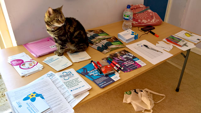 This cat seemed to have organised all the reading material by the time I'd arrived.