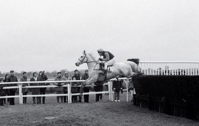 One of Wincanton’s favourite winners, and a regular visitor after his retirement, Desert Orchid is pictured with jockey Colin Brown on his way to winning the Jim Ford Challenge Cup steeplechase at Wincanton in 1987.