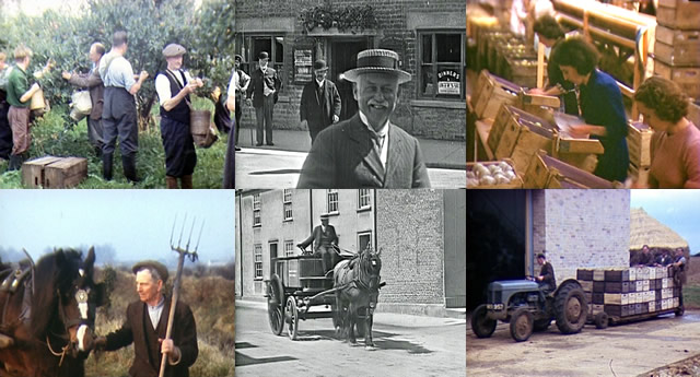 Stills from Windrose Rural Media Trust's local footage
