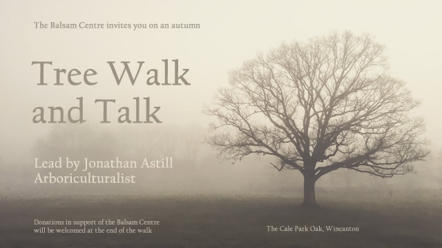 The Balsam Centre invites you on an autumn tree walk and talk, lead by Jonathan Astill, arboriculturalist