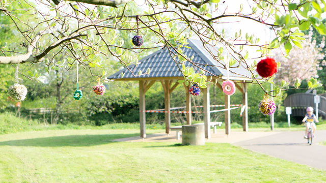 Knitted pom poms hanging from a tree at Cale Park, Wincanton