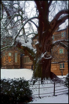Churchfields in Snow