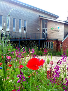 The Balsam Centre - A View from the Garden