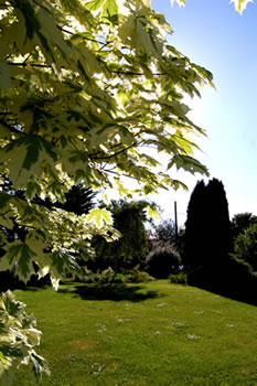 A beautifully seasons view from the Balsan Centre garden