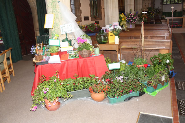 Wincanton Gardening Society