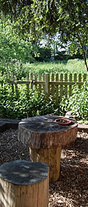 Seats made from tree stumps