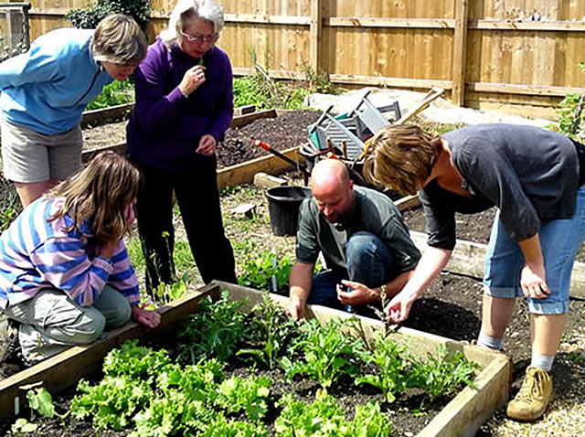 Gardeners working in the Growing Space