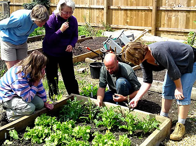 The Growing Space - Community and Therapeutic Gardens