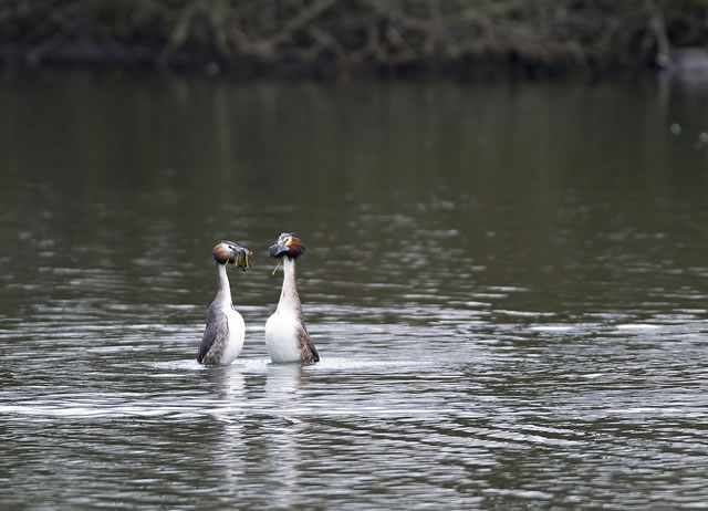 Fabulous nature shots from local photographer, Stewart Canham