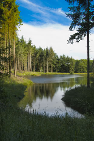 Fabulous nature shots from local photographer, Stewart Canham