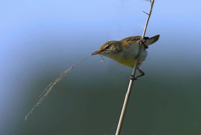 Fabulous nature shots from local photographer, Stewart Canham