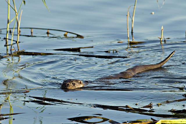 Fabulous nature shots from local photographer, Stewart Canham