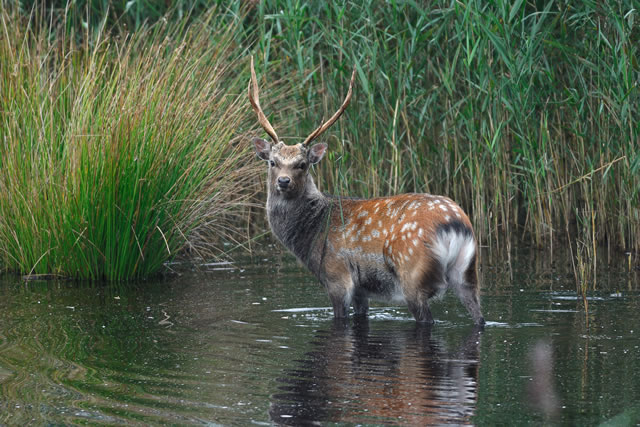 Fabulous nature shots from local photographer, Stewart Canham