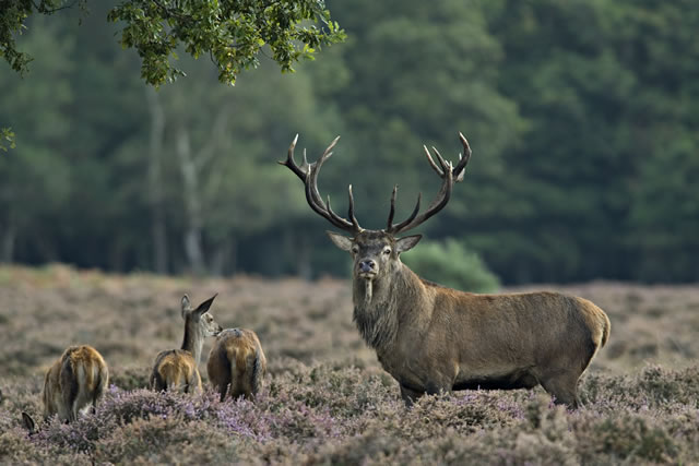 Fabulous nature shots from local photographer, Stewart Canham