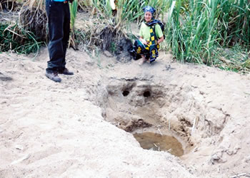 Elimu borehole