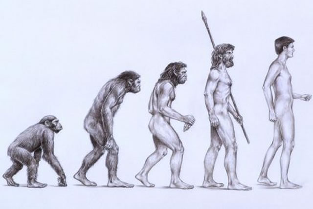 That popular Ape-Man evolution image