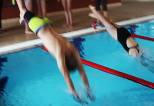 Two swimmers starting with a dive