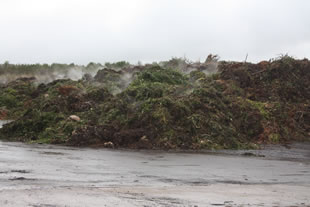 Pre-compost green waste